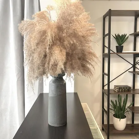 Traveler's Nest In The Mountains Apartment *