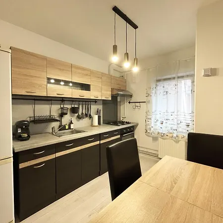 Apartment Traveler's Nest In The Mountains Brasov