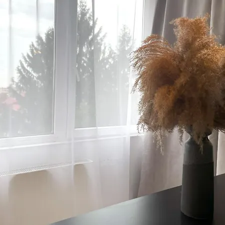 Apartment Traveler's Nest In The Mountains