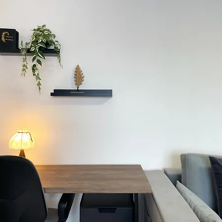 Apartment Traveler's Nest In The Mountains Brasov